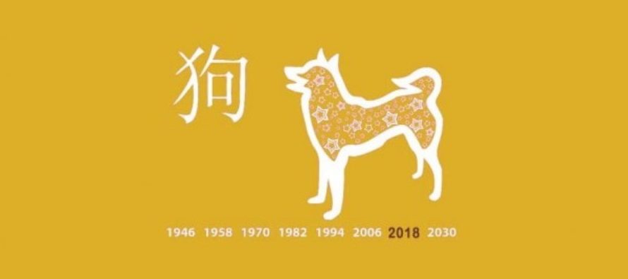 GRUNDLIGT kinesiskt horoskop för 2018: Kolla upp vad Hundens år som börjar den 15 februari kommer att föra med sig för dig